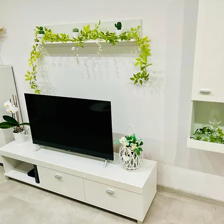 Spring * 비드고슈치